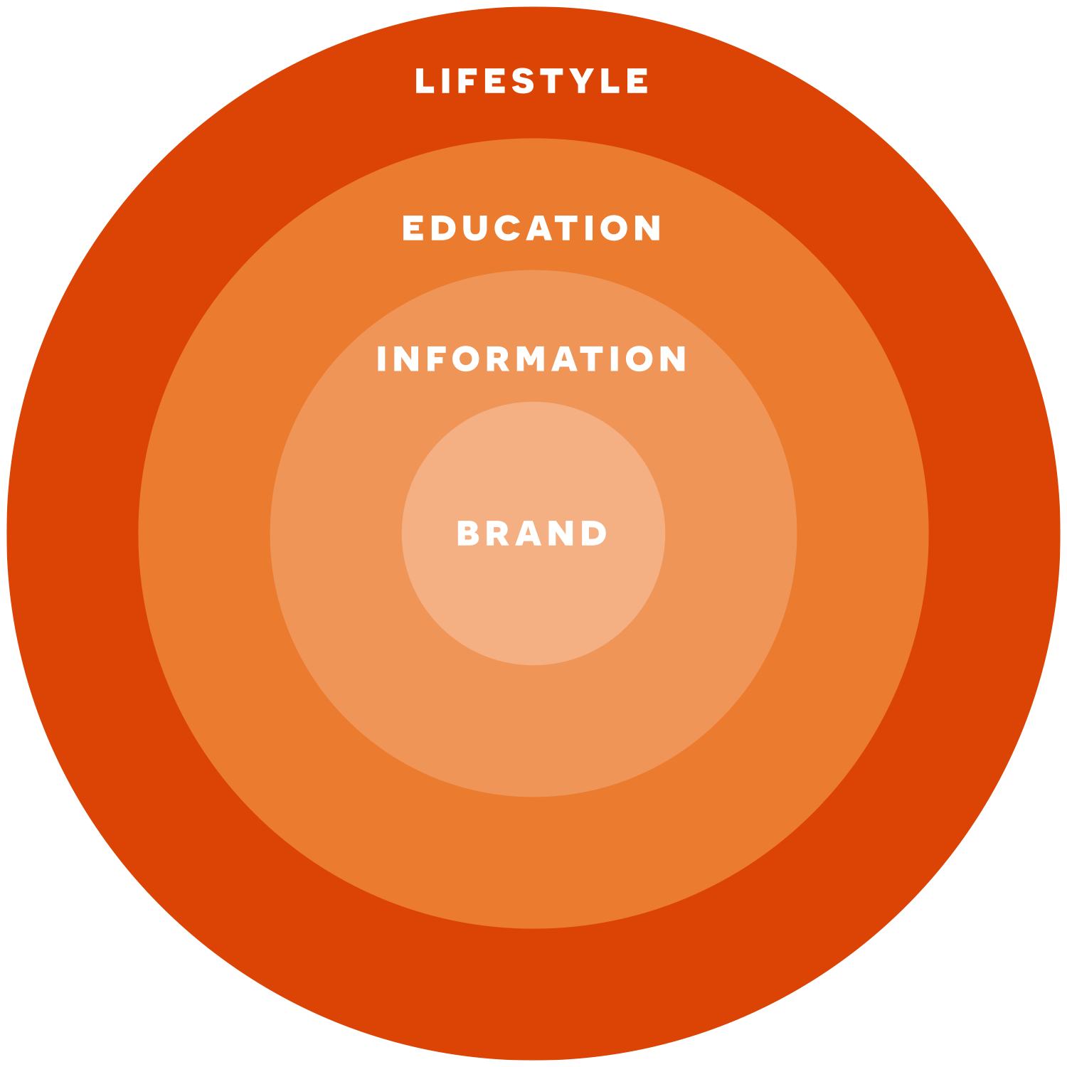 Lifestyle Education Information Brand